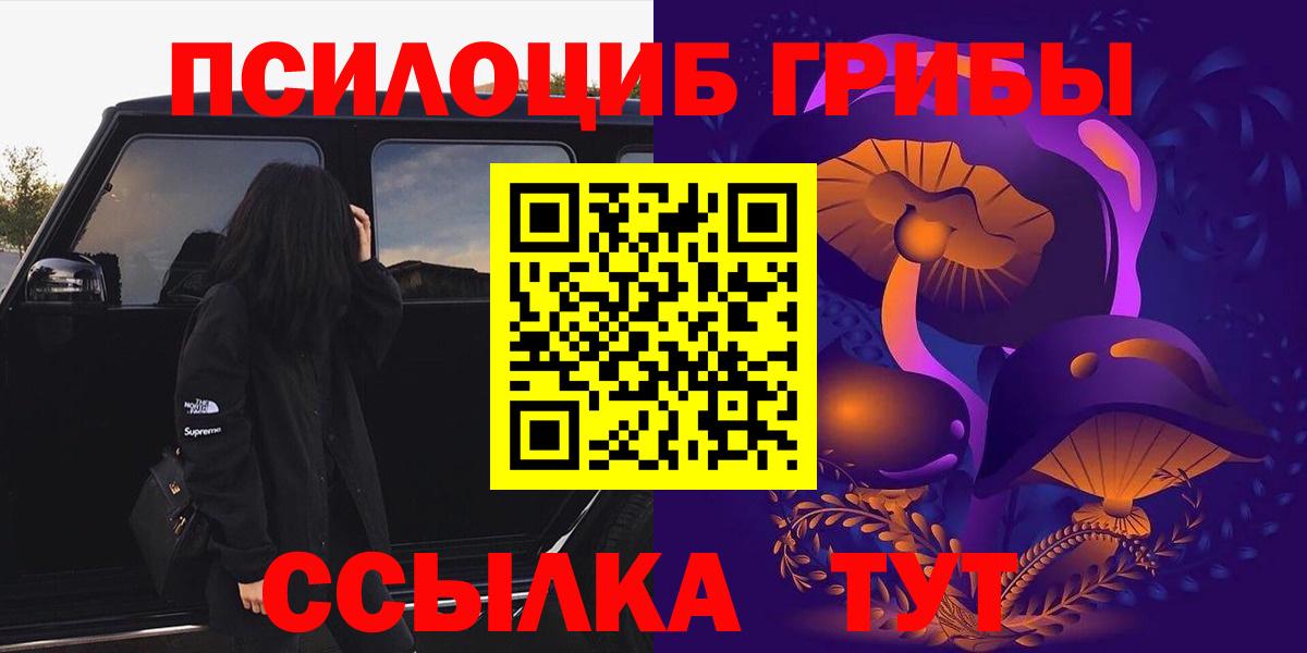 Галлюциногенные грибы Psilocybe  Галлюциногенные грибы прущие грибы  Вход с VPN  закладки  Волгодонск 
