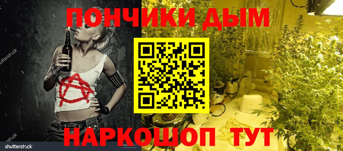 Бошки марихуана сатива Волгодонск